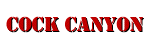 Cock Canyon links to free porn sites and sex websites with a search engine